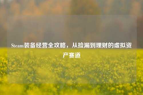 Steam装备经营全攻略,从捡漏到理财的虚拟资产赛道