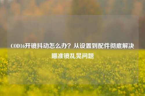 COD16开镜抖动怎么办?从设置到配件彻底解决瞄准镜乱晃问题