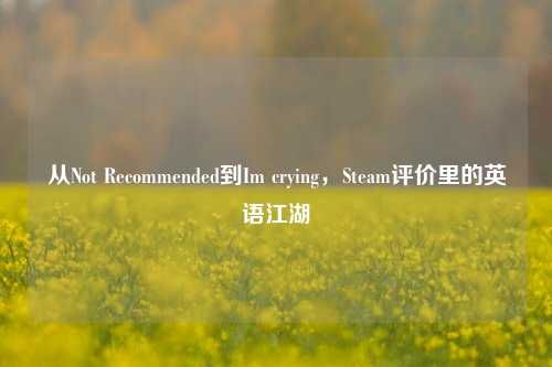 从Not Recommended到Im crying,Steam评价里的英语江湖