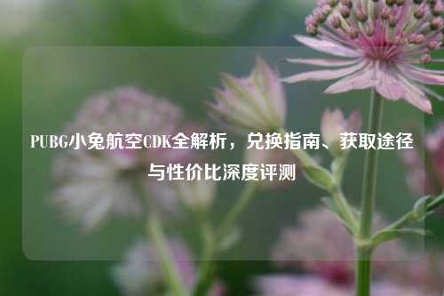 PUBG小兔航空CDK全解析,兑换指南、获取途径与性价比深度评测
