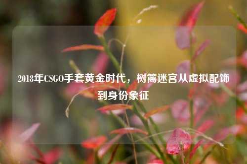 2018年CSGO手套黄金时代,树篱迷宫从虚拟配饰到身份象征