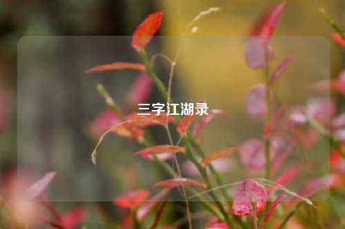 三字江湖录