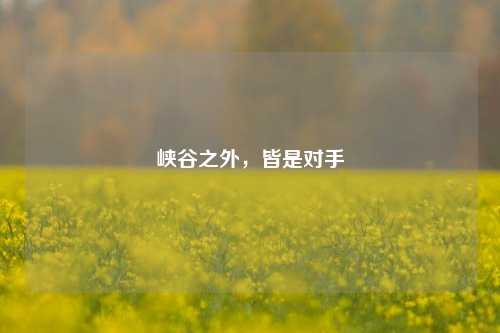 峡谷之外,皆是对手