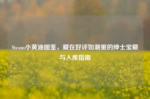 Steam小黄油图鉴,藏在好评如潮里的绅士宝藏与入库指南
