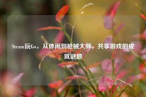 Steam玩Go,从休闲到枪械大师,共享游戏的成就谜题