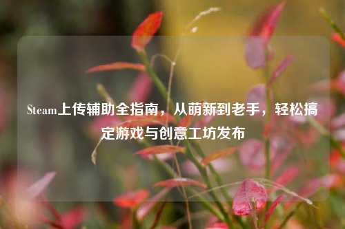 Steam上传辅助全指南,从萌新到老手,轻松搞定游戏与创意工坊发布