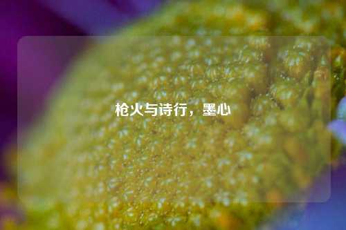 枪火与诗行,墨心