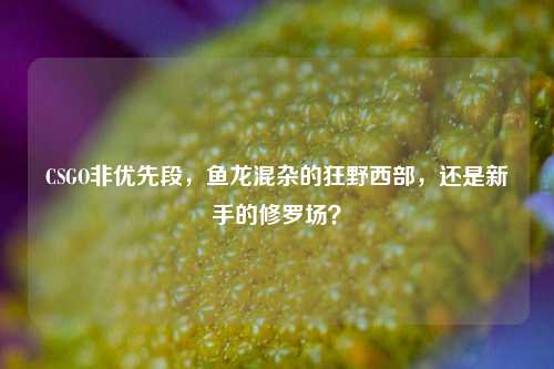 CSGO非优先段，鱼龙混杂的狂野西部，还是新手的修罗场？