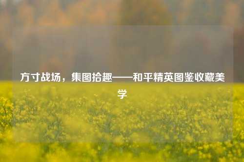 方寸战场,集图拾趣——和平精英图鉴收藏美学