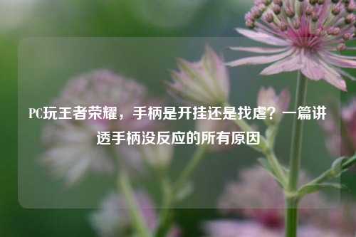 PC玩王者荣耀,手柄是开挂还是找虐?一篇讲透手柄没反应的所有原因