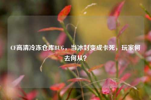 CF高清冷冻仓库BUG，当冰封变成卡死，玩家何去何从？