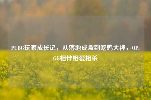 PUBG玩家成长记，从落地成盒到吃鸡大神，OP.GG相伴相爱相杀
