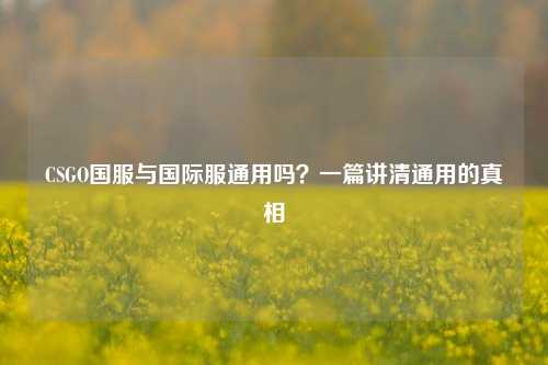 CSGO国服与国际服通用吗?一篇讲清通用的真相