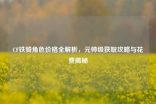 CF铁骑角色价格全解析,元帅级获取攻略与花费揭秘