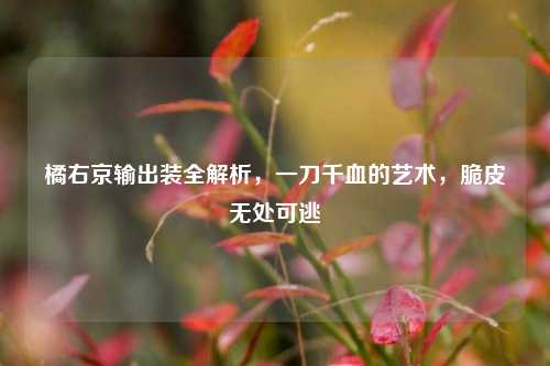 橘右京输出装全解析,一刀千血的艺术,脆皮无处可逃