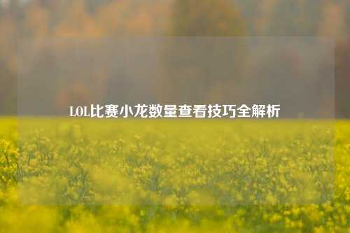 LOL比赛小龙数量查看技巧全解析