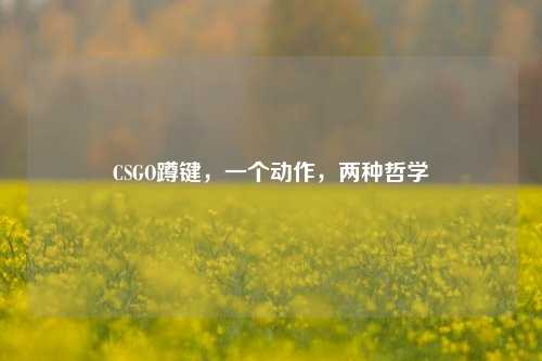 CSGO蹲键,一个动作,两种哲学