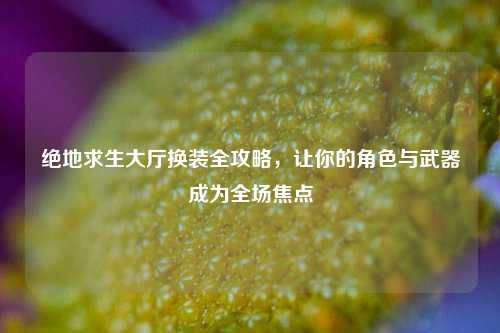 绝地求生大厅换装全攻略,让你的角色与武器成为全场焦点