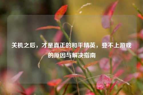 关机之后，才是真正的和平精英，登不上游戏的原因与解决指南