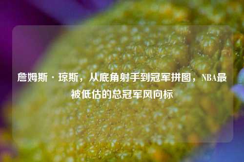 詹姆斯·琼斯,从底角射手到冠军拼图,NBA最被低估的总冠军风向标