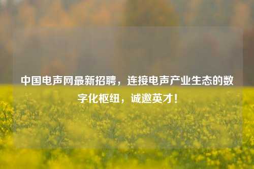 中国电声网最新招聘，连接电声产业生态的数字化枢纽，诚邀英才！
