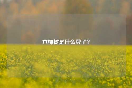 六棵树是什么牌子？