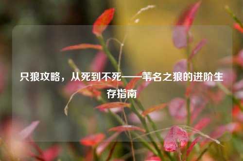 只狼攻略,从死到不死——苇名之狼的进阶生存指南
