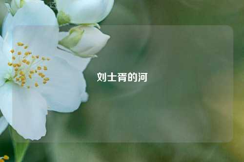 刘士胥的河
