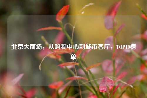 北京大商场,从购物中心到城市客厅,TOP10榜单
