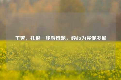 王芳,扎根一线解难题,倾心为民促发展
