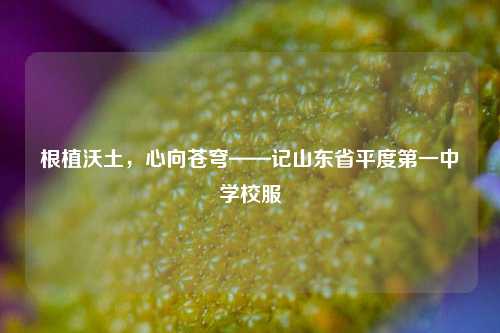 根植沃土,心向苍穹——记山东省平度第一中学校服
