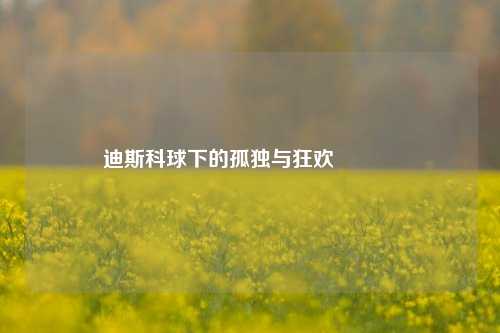 迪斯科球下的孤独与狂欢🪩