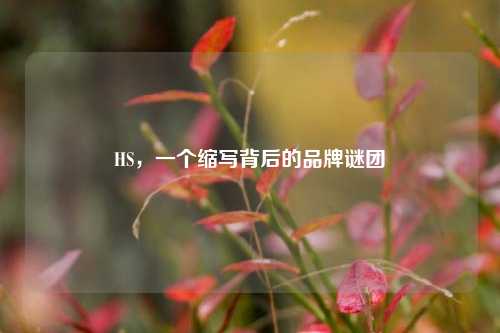 HS，一个缩写背后的品牌谜团