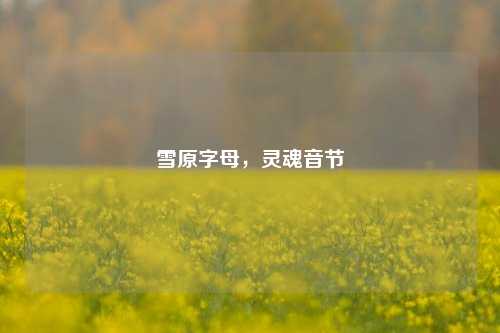 雪原字母,灵魂音节