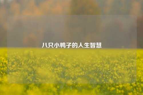 八只小鸭子的人生智慧