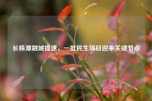 长株潭融城提速，一批民生项目迎来关键节点