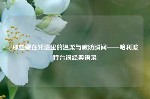 那些藏在咒语里的温柔与破防瞬间——哈利波特台词经典语录
