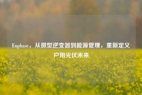 Enphase,从微型逆变器到能源管理,重新定义户用光伏未来