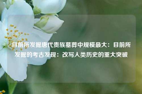 目前所发掘唐代贵族墓葬中规模最大：目前所发掘的考古发现：改写人类历史的重大突破