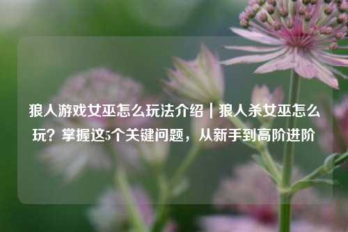 狼人游戏女巫怎么玩法介绍｜狼人杀女巫怎么玩？掌握这5个关键问题，从新手到高阶进阶