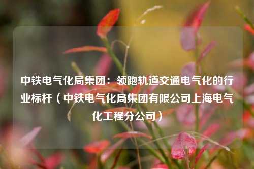 中铁电气化局集团：领跑轨道交通电气化的行业标杆（中铁电气化局集团有限公司上海电气化工程分公司）