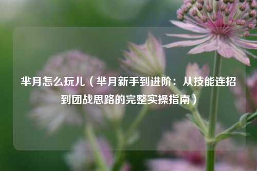 芈月怎么玩儿(芈月新手到进阶:从技能连招到团战思路的完整实操指南)
