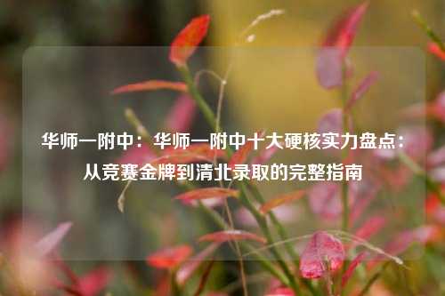 华师一附中：华师一附中十大硬核实力盘点：从竞赛金牌到清北录取的完整指南