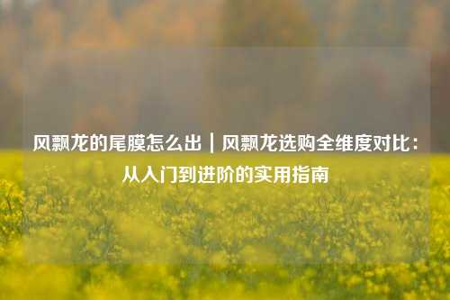 风飘龙的尾膜怎么出｜风飘龙选购全维度对比：从入门到进阶的实用指南
