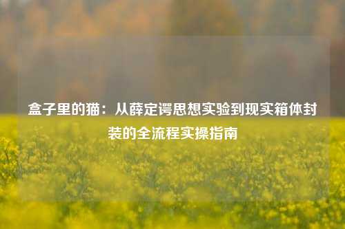 盒子里的猫：从薛定谔思想实验到现实箱体封装的全流程实操指南