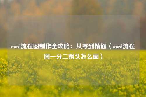 word流程图制作全攻略：从零到精通（word流程图一分二箭头怎么画）