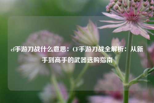 cf手游刀战什么意思：CF手游刀战全解析：从新手到高手的武器选购指南