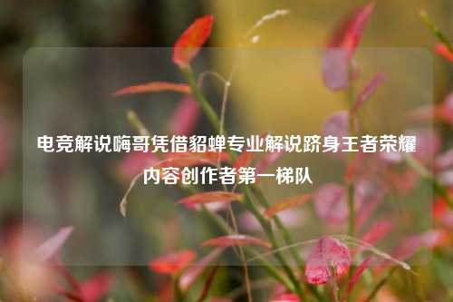 电竞解说嗨哥凭借貂蝉专业解说跻身王者荣耀内容创作者第一梯队