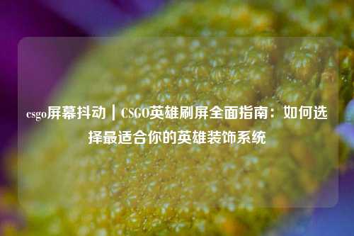 csgo屏幕抖动｜CSGO英雄刷屏全面指南：如何选择最适合你的英雄装饰系统