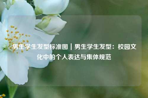 男生学生发型标准图｜男生学生发型：校园文化中的个人表达与集体规范